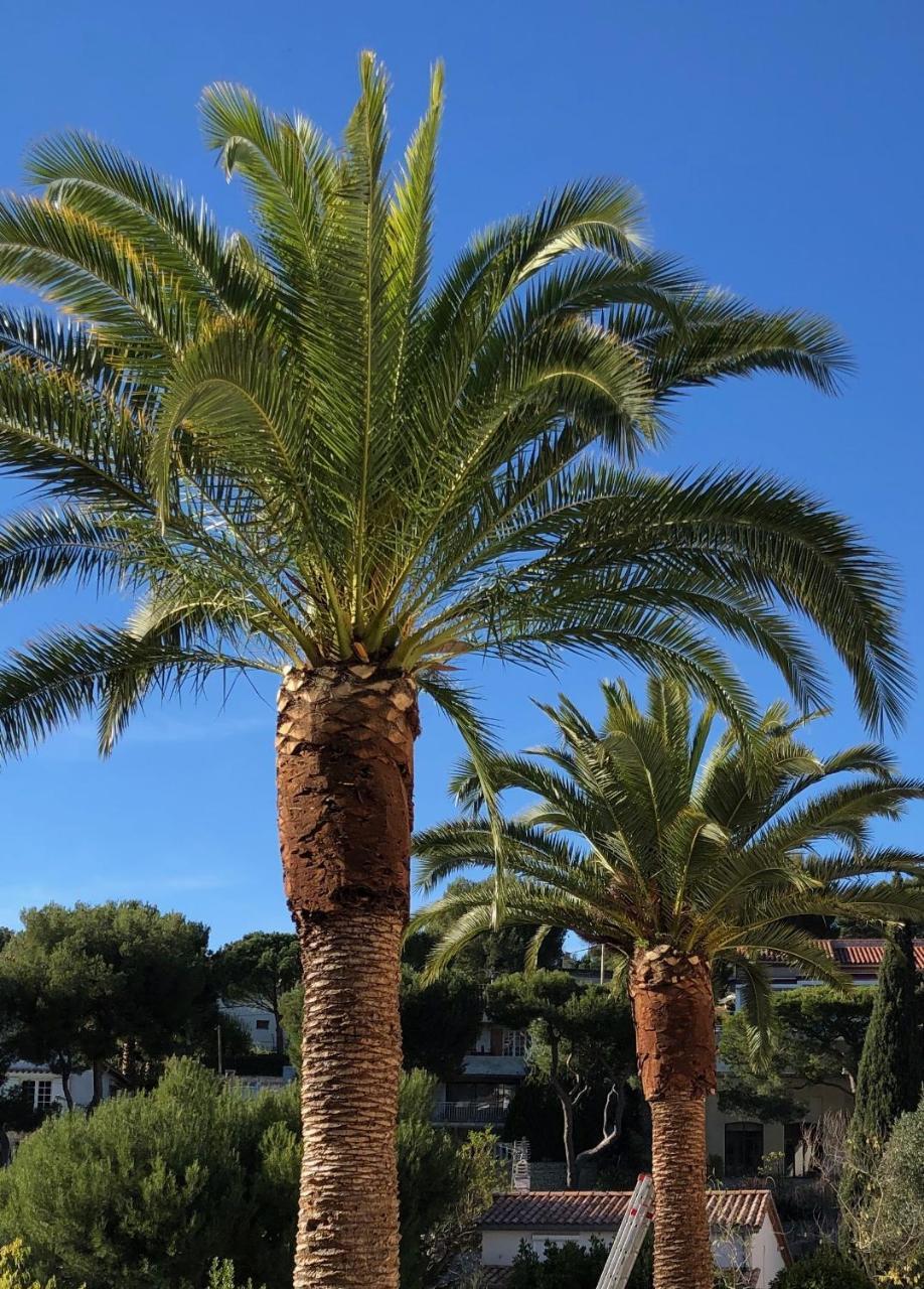 Hotel The Address Cassis Exterior foto